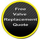 Valve Replacement Quote Form
